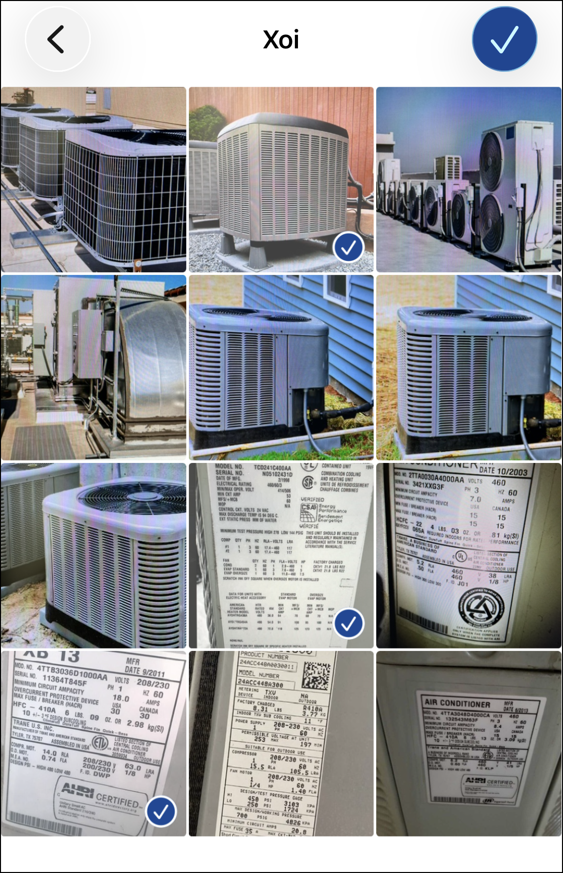 IMG_2805.PNG
